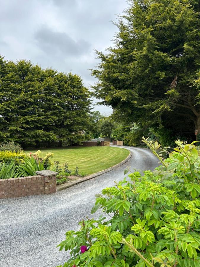 Long View Guest Accommodation Downpatrick Exterior foto